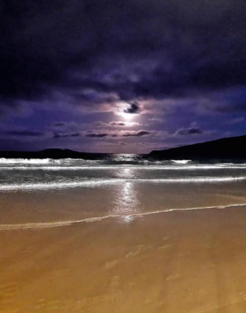 Apartamento Aconchegante A 200 Metros Da Praia Florianópolis Eksteriør bilde